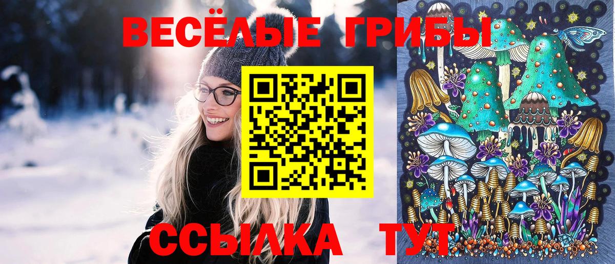 Галлюциногенные грибы Psilocybe  продажа наркотиков  Майский  Вход с VPN 